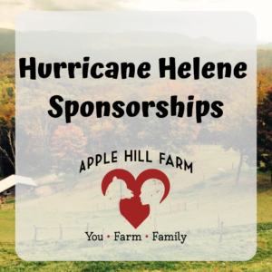 Hurricane Helene Sponsorships